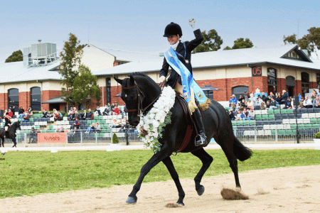 2025 Melbourne Royal Show Blue Ribbon Competitions
