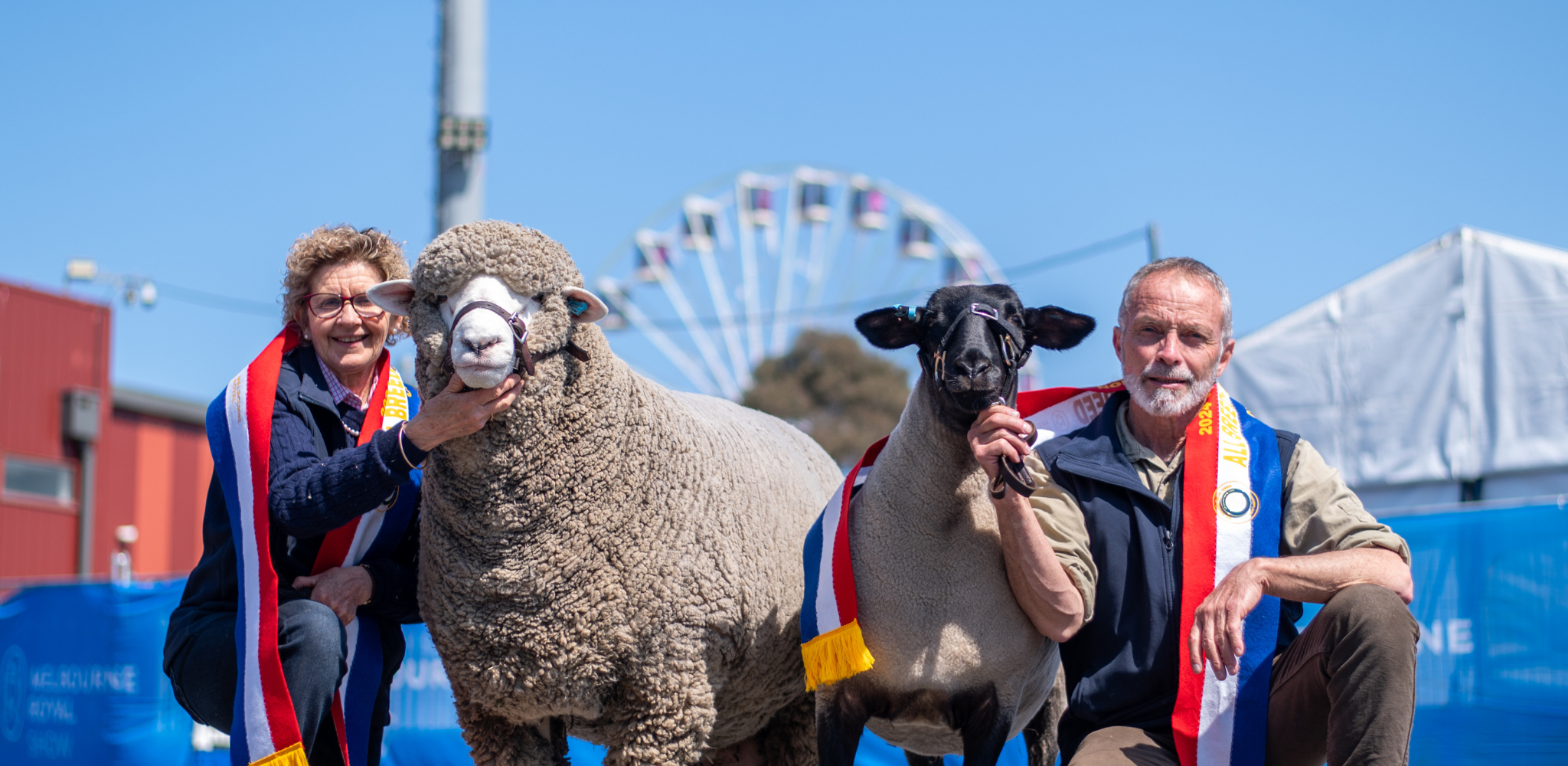 Melbourne Royal Show Blue Ribbon Competition