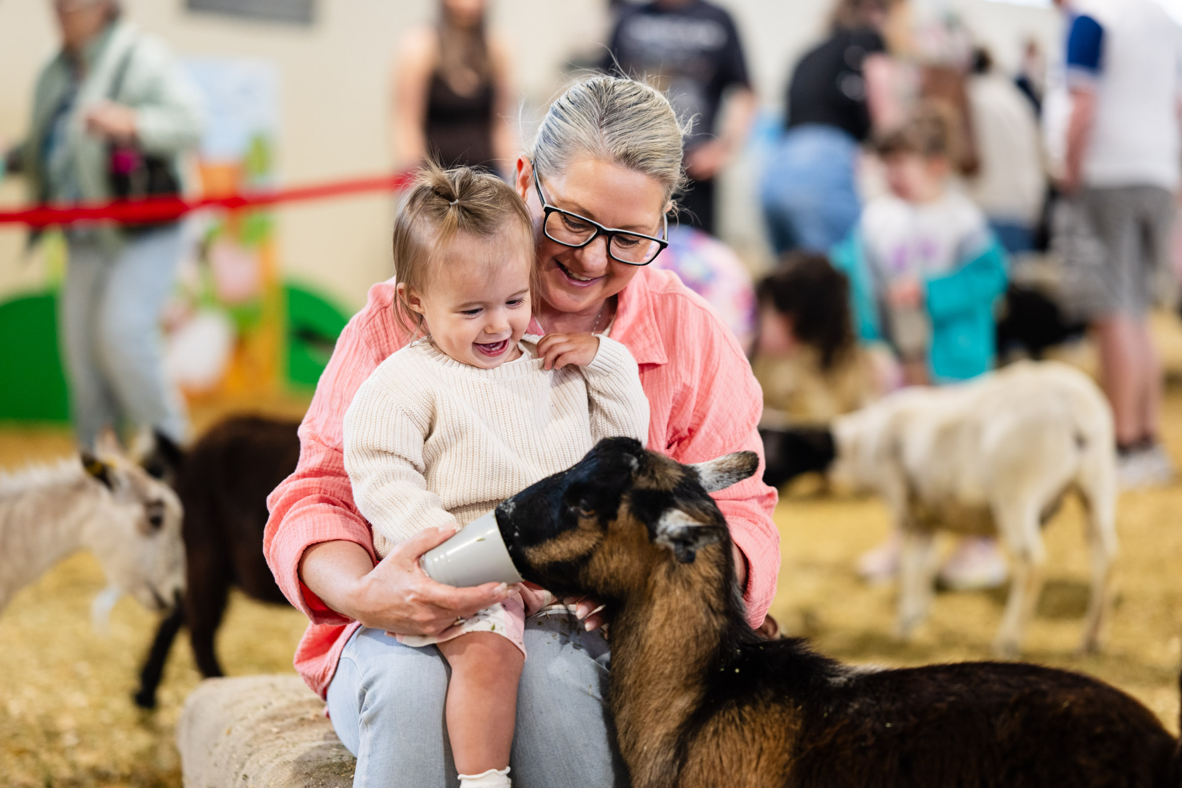 Melbourne Royal Show Hero Image